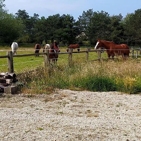Le Gite De La Ferme ポールバイユ エクステリア 写真