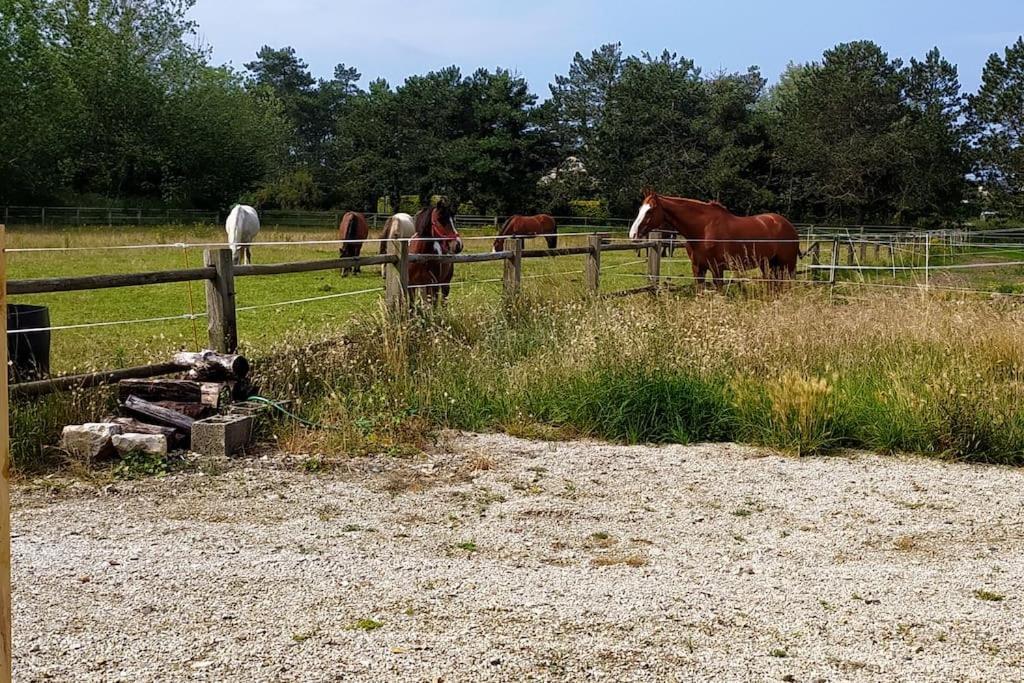 Le Gite De La Ferme ポールバイユ エクステリア 写真