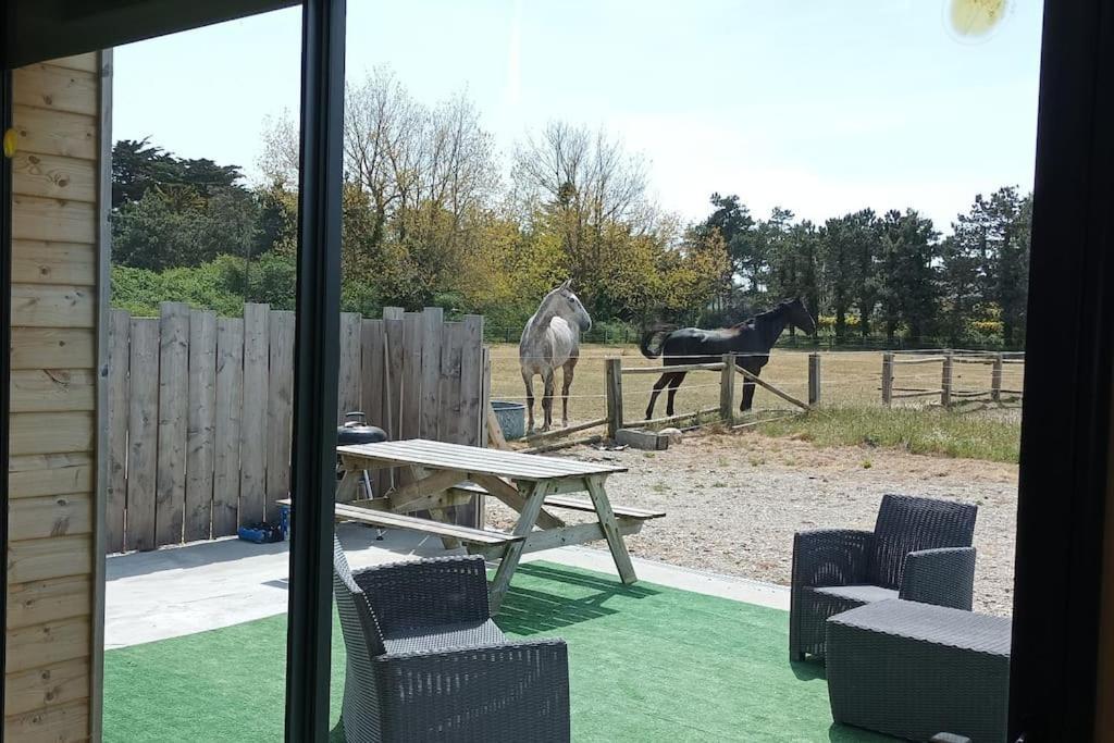 Le Gite De La Ferme ポールバイユ エクステリア 写真